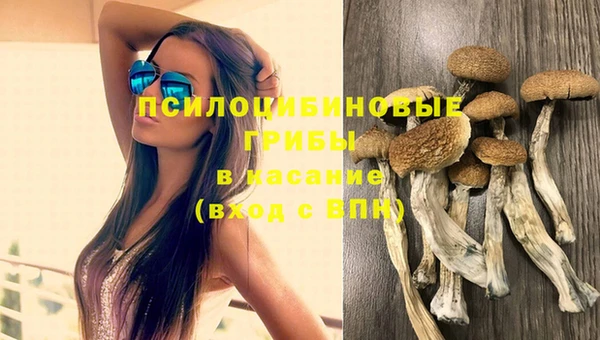 бутират Медвежьегорск