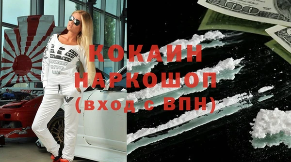 хмурый Мегион