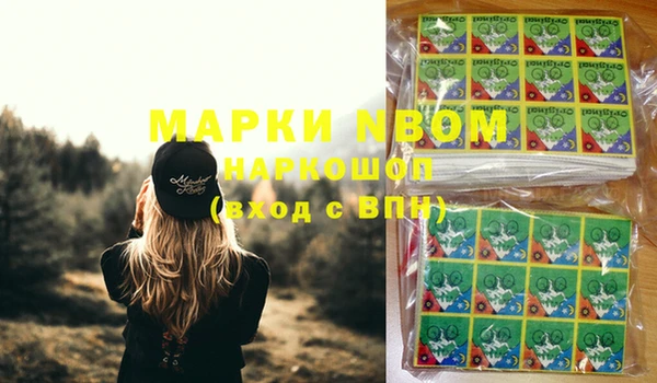 хмурый Мегион