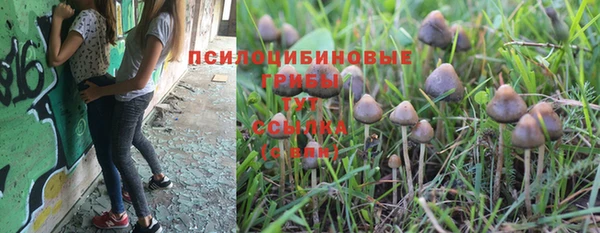 бутират Медвежьегорск