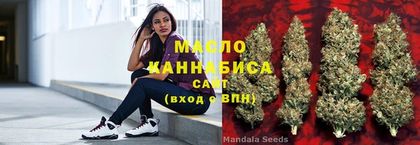 хмурый Мегион