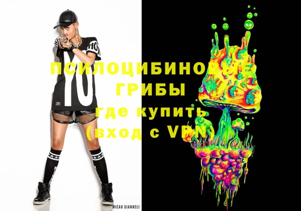 хмурый Мегион