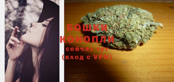 хмурый Мегион