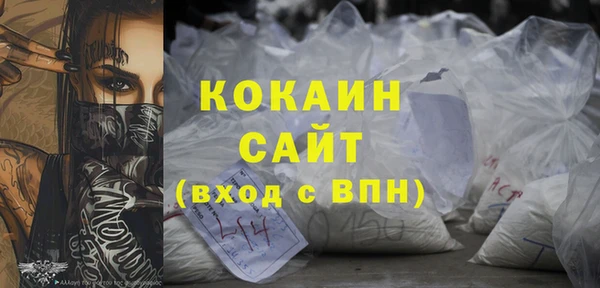 хмурый Мегион