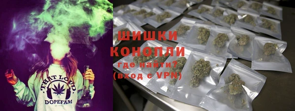 хмурый Мегион
