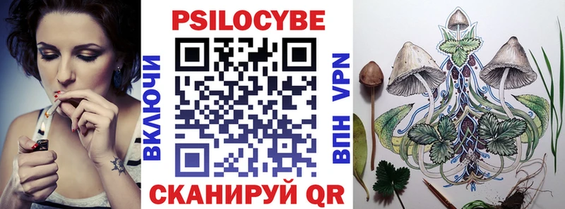 Купить где  Кимры  Псилоцибиновые грибы Psilocybine cubensis 